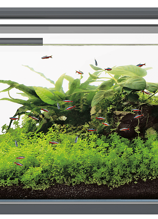 Акваріумний набір superfish home proled 65 black (a4051635)