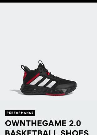 Кросівки adidas