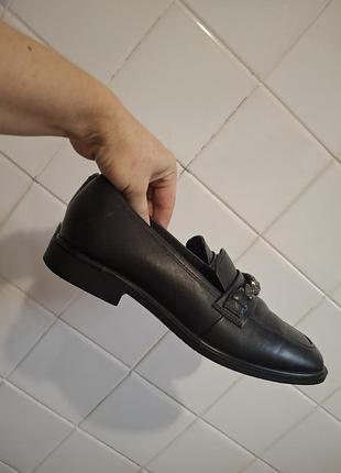 Лофери tamaris