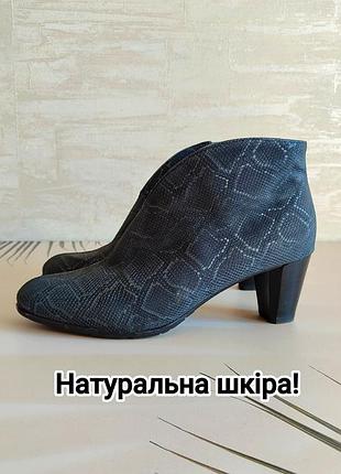Натуральная кожа 💙 ботинки ботильоны под пистона на небольших толстых каблуках от тира