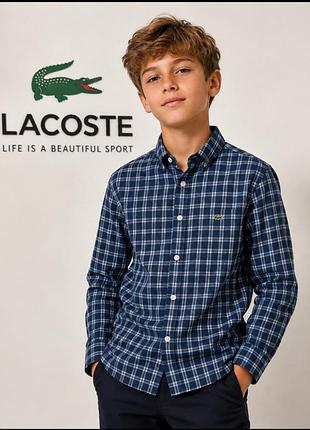 Крута сорочка в клітинку з довгим рукавом lacoste