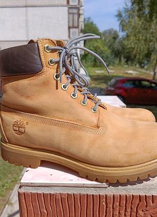 Оригинальные ботинки timberland 6-inch premium waterproof (art. 10061)