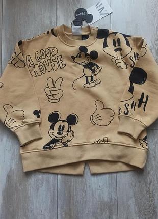 Світшот,кофта,светр zara