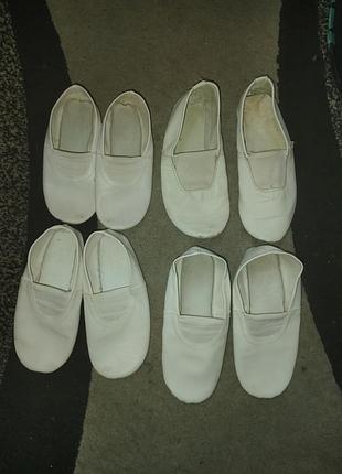 Чешки білі