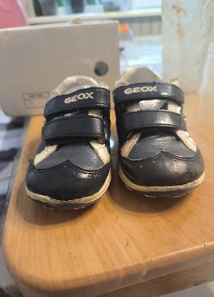Ботиночки geox 2