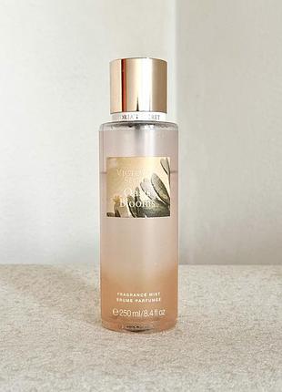 Victoria’s secret — oasis blooms (залишок у флаконі)
