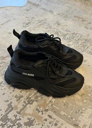 Кросівки steve madden