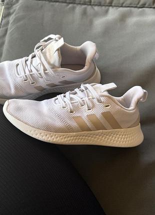Жіночі кросівки adidas білі