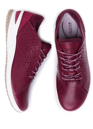 Шкіряні кросівки ecco biom life w low, 38 р