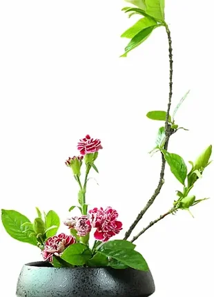 Керамическая ваза-чаша aivar для икебаны, бонсай и цветочных композиций