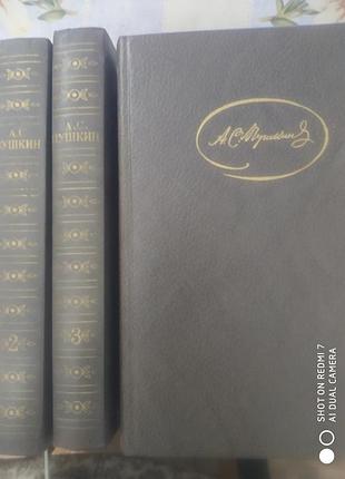 Пушкин. сочинения в 3-х т.