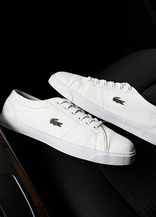 Жіночі кросівки, кеди lacoste оригінал