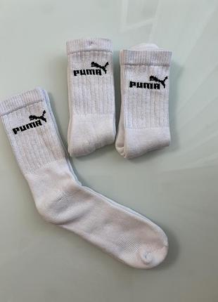 Шкарпетки puma
