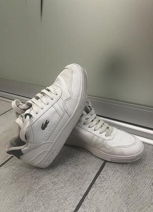 Кеди lacoste originally