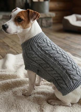 Стильний та теплий светр для собаки top paw (m)