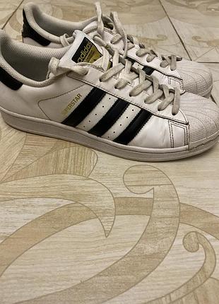 Кросівки adidas superstar