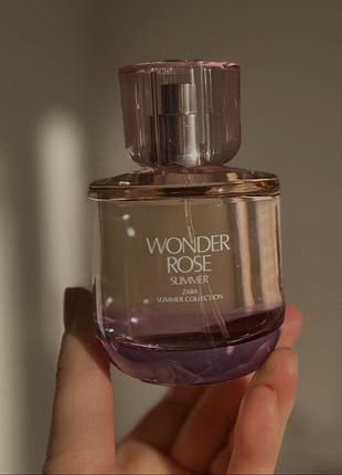 Wonder rose summer