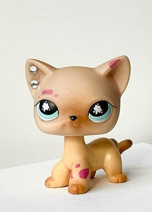 Lps littelest pet shop маляр стоячка #816