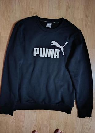 Мужская спортивная кофта бренда puma
