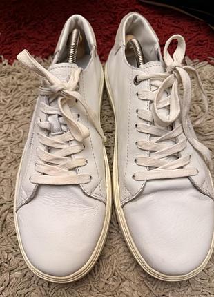 Шкіряні кросівки calvin klein low top (оригінал) 45