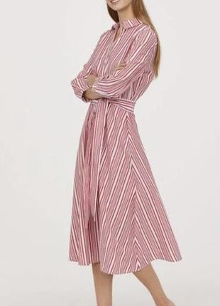 Котоновое платье-рубашка мидакси принт полоска zara, р.l-xl