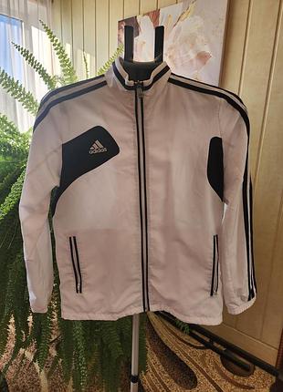 Вітрівка adidas
