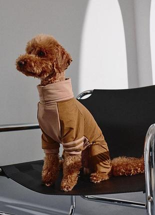 Костюм спорт коричневий d-217