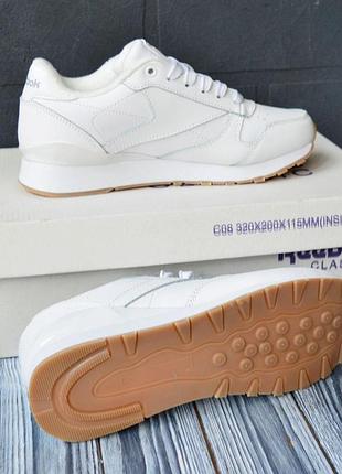 Reebok classic white 36 3