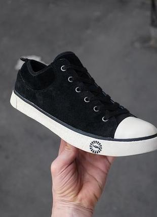 Кеди ugg australia evera зимові утеплені хутром овчина цегейка міхові camper clarks converse vans кросівки sorel 1888