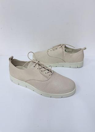 Кеди ecco оригінал