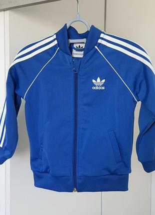 Вітрівка adidas