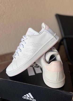 Жіночі кеди, кросівки adidas