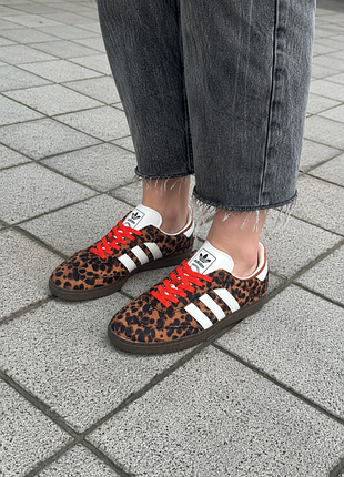 Кросівки легкі зручні жіночі adidas samba leopard