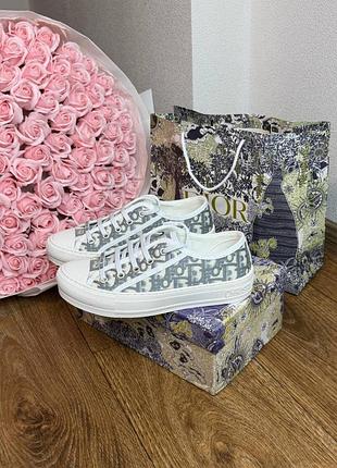 Кеды dior женские