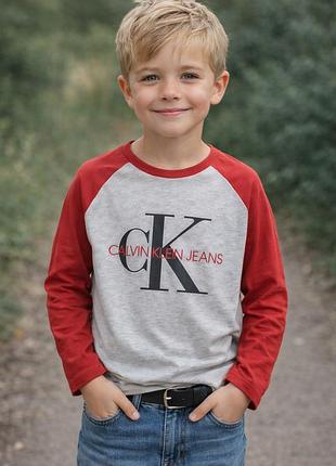 Детский реглан (лонгслив) calvin klein jeans для мальчика, серо-красный 5-6