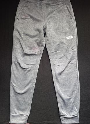 Спортивні штани the north face