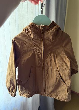 Вітровка zara 98