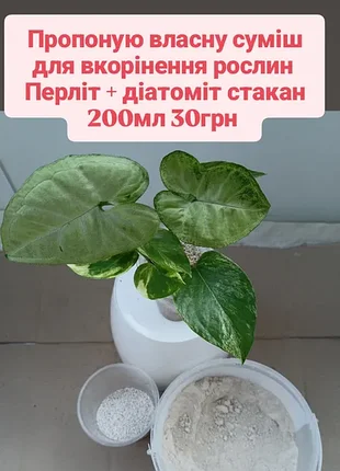 Суміш для вкорінення рослин, ароїдних саджанців кімнатних, садових, добриво універсальне
