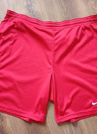 Брендовые шорты nike.
