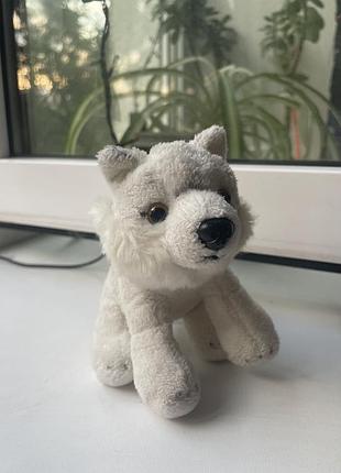 Реалістичний маленький вовк 🐺