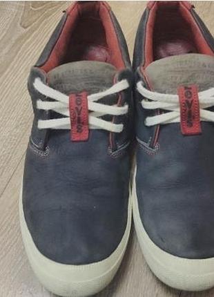Чоловічі кеди levi's