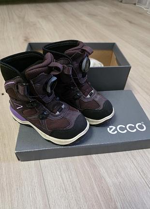 Сапожки ecco детские