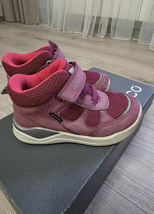 Черевички ecco 2