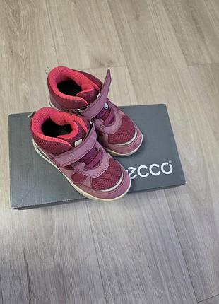 Черевички ecco
