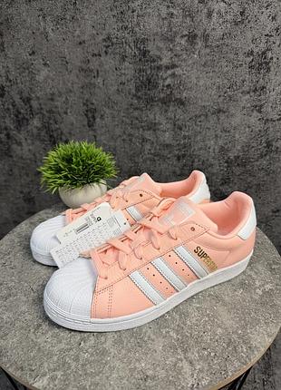 Кросівки adidas superstar w "pink/white