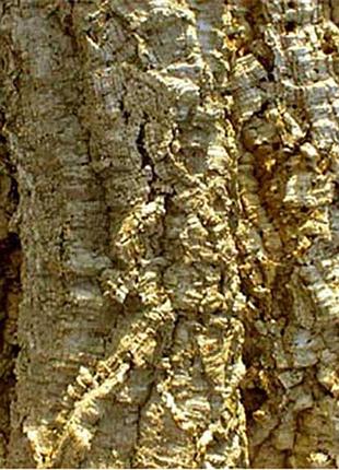 Кора коркового дерева habistat cork bark 1kg (r5100210)