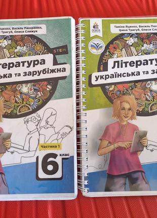 Украинская литература и зарубежная 2 книги