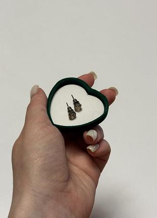 Сережки гвоздики
