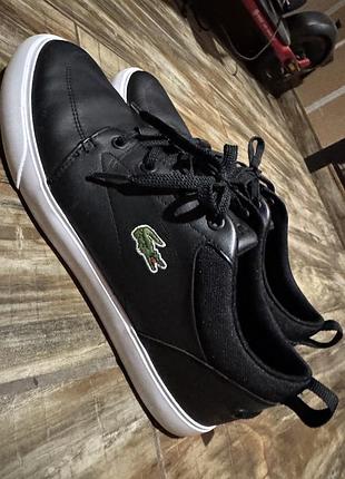 Кеди lacoste