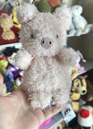 Порося jelly cat
